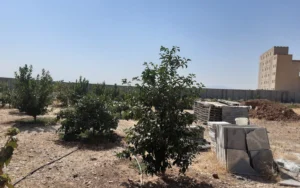 گونه های گیاهی موجود خانه باغ